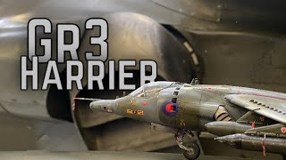 Kinetic Gold 1/48 Harrier Gr3