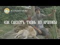 Как сделать ткань из крапивы.