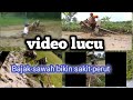 Kumpulan VIDEO LUCU || bajak sawah bikin sakit perut