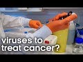 How Viruses Can Cure Cancer BBC Earth Science 
