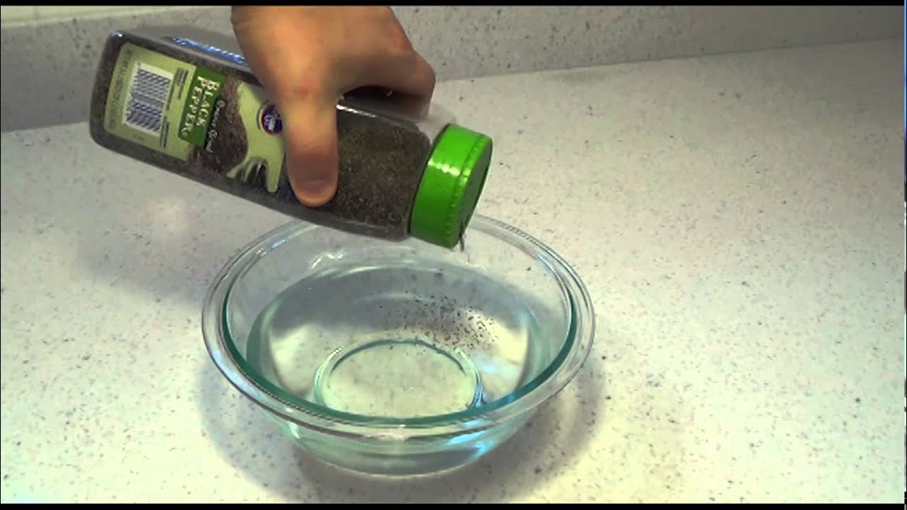 Pepper and Water + Soap | Kids Science Experiments DIY - YouTube