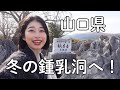 冬の秋吉台へ|山口県・鍾乳洞と絶景の旅