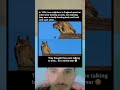 They Thought They Were Talking to Owls… For a YEAR 😳🦉 The Funniest Mistake Ever
