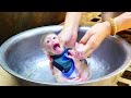 OhhGod!! Newborn Zuji CryLoudlyScare When Sitting Fail In Little Pool | Mom Care Zuji Health