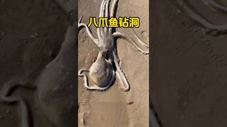 Who taught it to squeeze in like that? Its body was several times bigger than the hole, but it st...