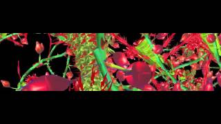 Basement Jaxx - Scars (Official Visual)