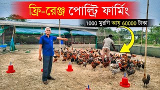 ফ্রি-রেঞ্জ এ দেশী মুরগি পালন | Country Chicken Farm | 1000 মুরগি আয় 60000 টাকা | Desi Murgi Farm