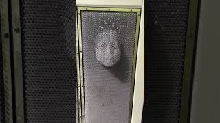 Pin Art Face!