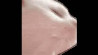 TheFatRat & RIELL - Hiding In The Blue (Sped up to perfection)