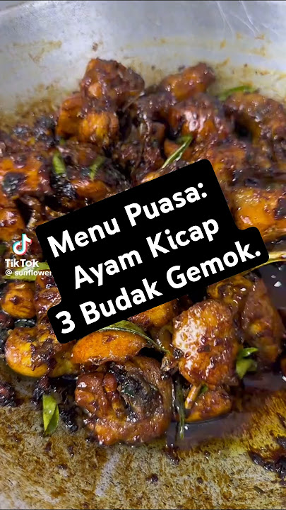 Resepi Ayam Kicap 3 Budak Gemok