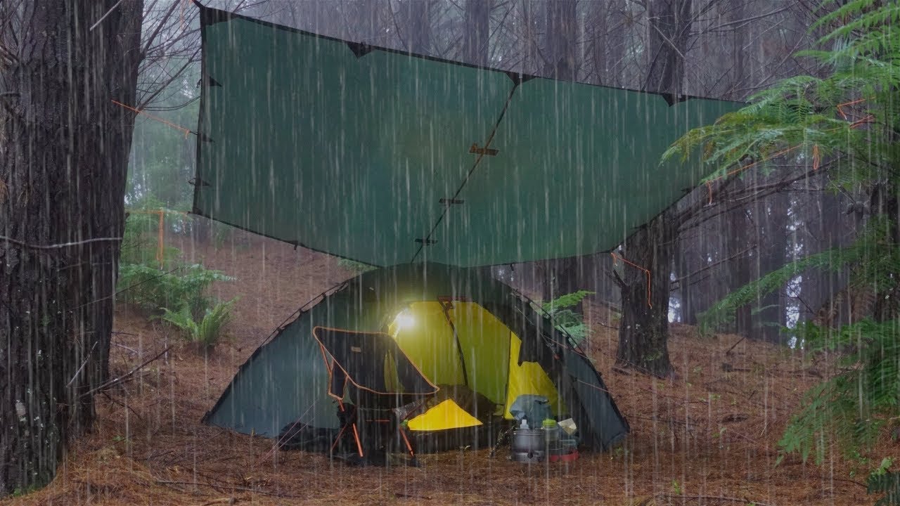 Camping - Rain, Tent, tarp, dog and Steaks