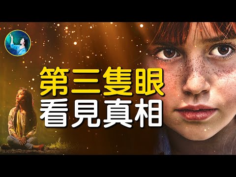 第三只眼？X光眼、遥视！松果体之谜？人类真实存在的器官！意大利女子“超能力”破案！CIA解密：美国苏联的祕密竞争、谍报私密武器！