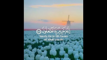 ايات تدل على عظمة الله ❤ حالات واتس اب قران 💚تلاوة خاشعة 💙 Quran Status 💜اية قرانية قصيره