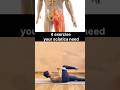 4 Exercises Your Sciatic Nerve Needs!