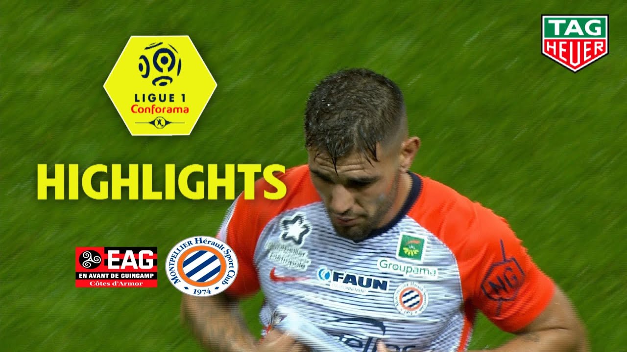 EA Guingamp - Montpellier Hérault SC ( 1-1 ) - Highlights - (EAG - MHSC) / 2018-19