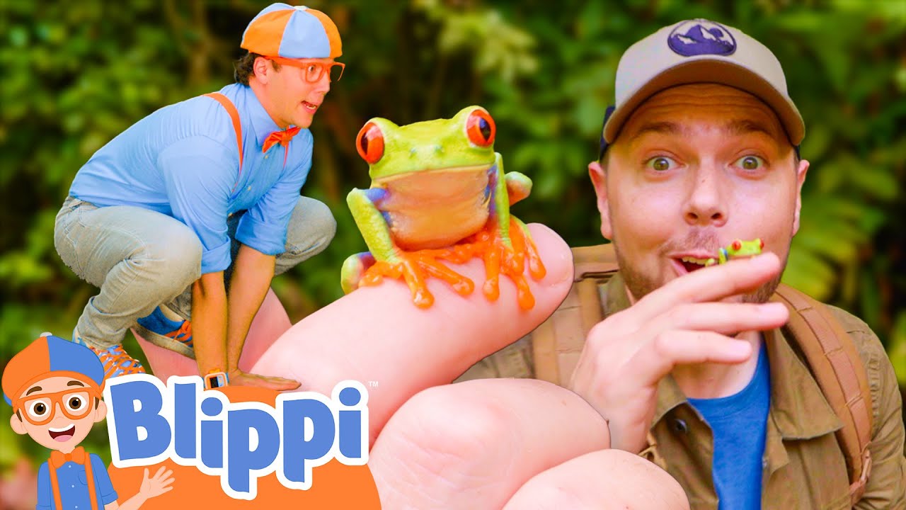 Blippi and Mark's Costa Rica Frog Hunt!🐸 | 📖Blippi📖 Moonbug Kids📖 Learning Corner