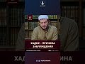 Мухаммад аль-Урми - "зачем нам следовать за учёными, когда есть Коран и Сунна?"