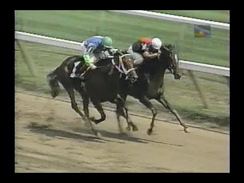 Saratoga Race Replays