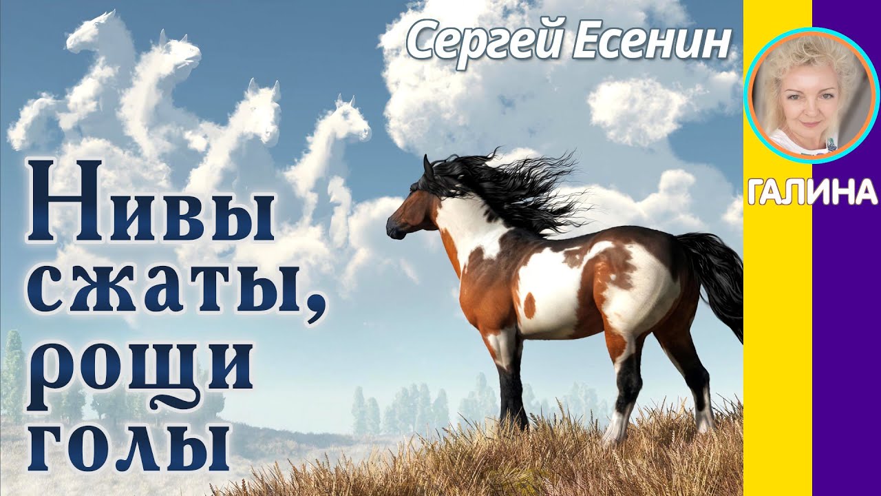 Нивы сжаты, рощи голы Есенин С. Слушать стихи Есенина - YouTube