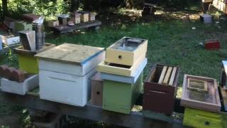 QUEEN=MATING YARD=MINI NUC'S