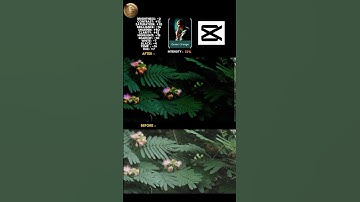 Cinematic Colour Grading in Capcut - Nature #capcutediting #colourgradingtutorial #cinematic #shorts