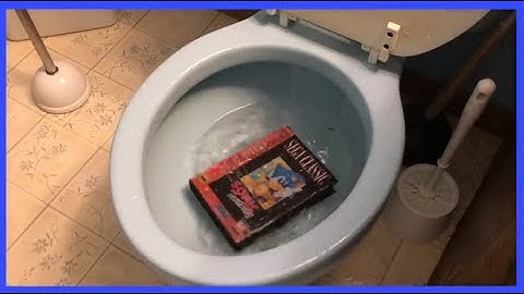 Scott the Woz abusing his Collection for 7 minutes