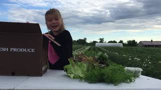 Week 3 2020 CSA video