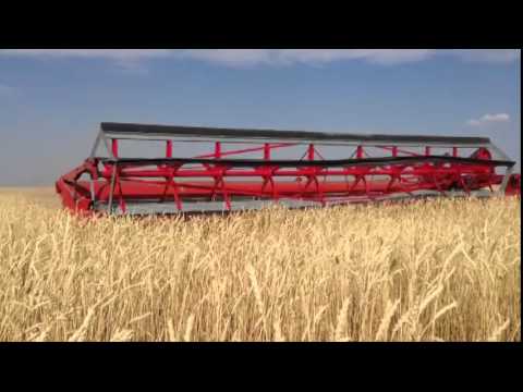 Прицепная жатка Дон Мар 9 метров (Don Mar swather 9 meter)