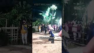 Download Lagu KEBO SURO KALAPAN #bantengan #kesenianbantengan  #bantenganmalang MP3