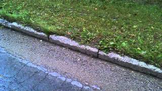 VID_20110808_131523.mp4