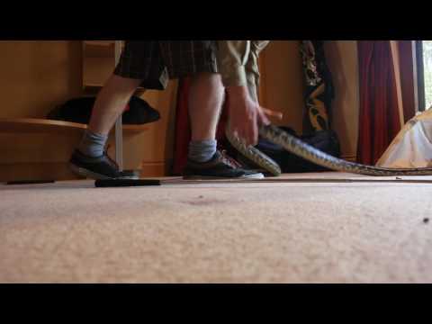 Carpet Python Removal & Relocation. May 2017. Snake Out! Brisbane Snake Catchers