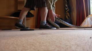 Carpet Python Removal & Relocation. May 2017. Snake Out! Brisbane Snake Catchers