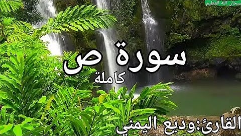 سورة ص كاملة القارئ: وديع اليمني Surat sad: Wadih Al-Yamani