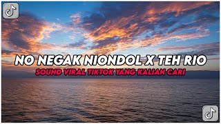 Download lagu DJ No Negak Niondol X Teh Rio Mashup Ucil Fvnky Rmx Terbaru 2025