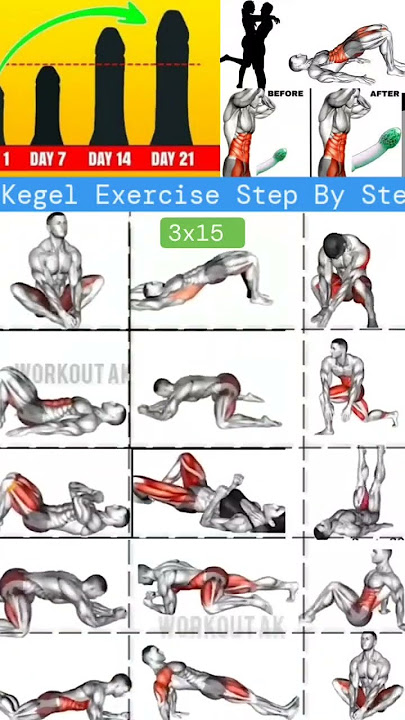 Men`s kegel exercises do these exercises to make your penis stand up like a nail