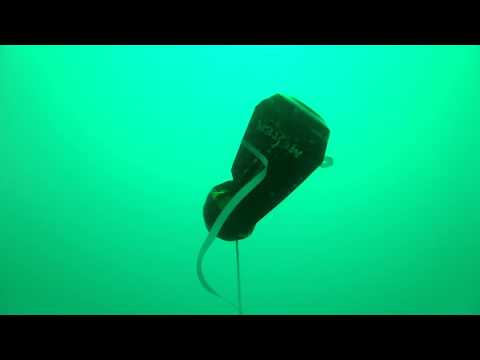 Monster Crush At 100 Feet Underwater