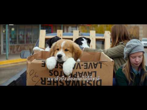A Dog&39;s Purpose | Official Trailer