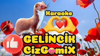 Gelincik Karaoke (Ayna)