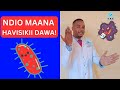 JINSI VIMELEA VYA MAGONJWA VINAVYOPAMBANA NA DAWA Dawa Usugu Uvida JINSI VIMELEA VYA MAGONJWA VINAVYOPAMBANA NA DAWA Dawa Usugu Uvida