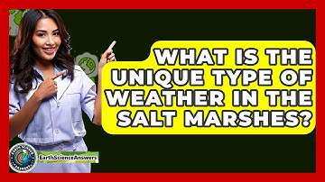 What Is The Unique Type Of Weather In The Salt Marshes? - Earth Science Answers