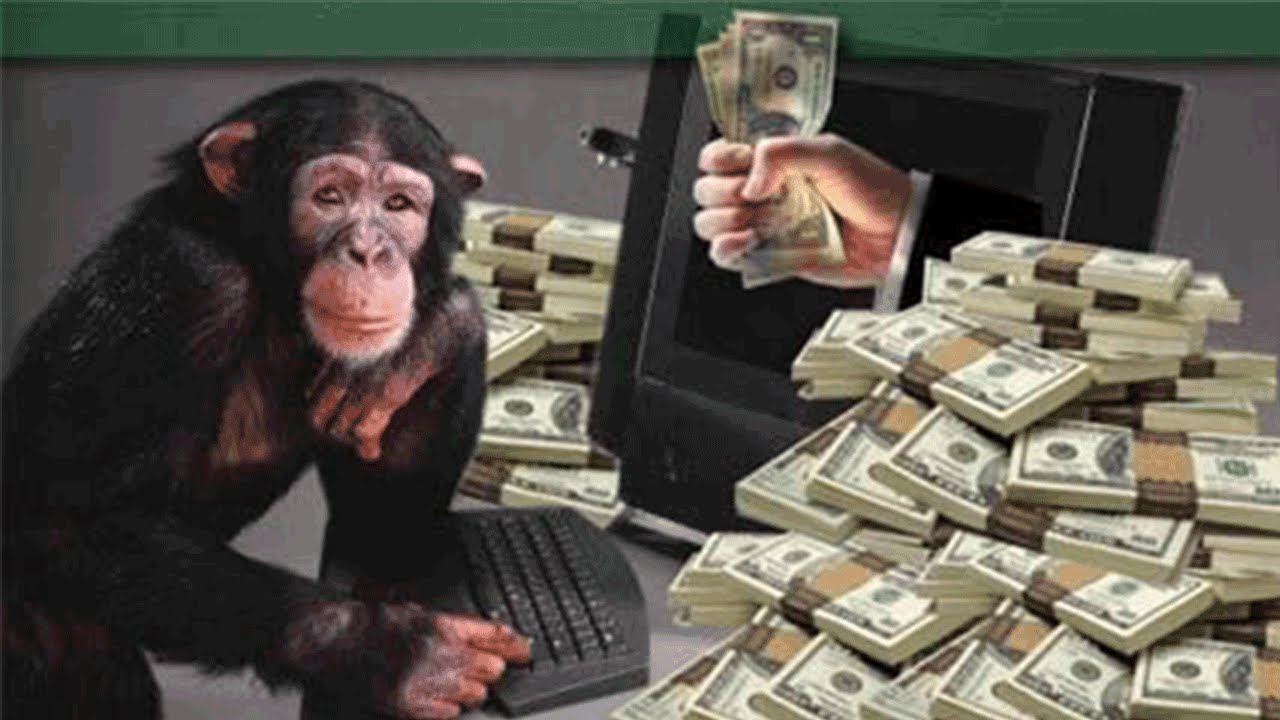 обезьяна в gucci. смешная обезьянка с деньгами. деньги monkey. обезьяна с деньгами. шимпанзе с деньгами.