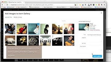 CodeCanyon, DZS ZoomFolio WordPress - How to Enable Excerpt Opener