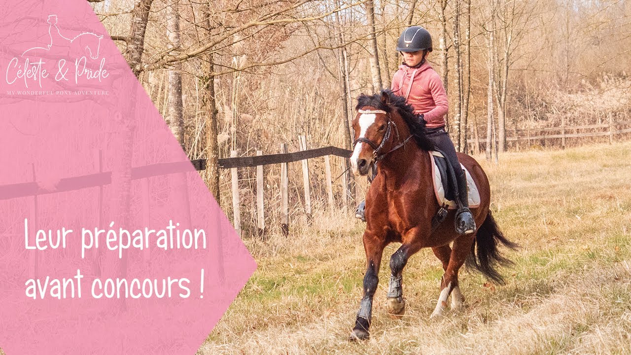 Pourquoi l'équitation est-elle un sport à part entière