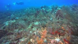 20150703 WPB 2 Rons Rock  & Flower Garden full