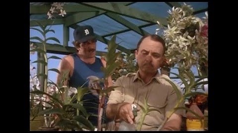 Magnum, P.I. - Opening Theme