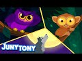 We Like the Night | Animal Song for Kids | Kindergarten Song | Nocturnal Animals | JunyTony