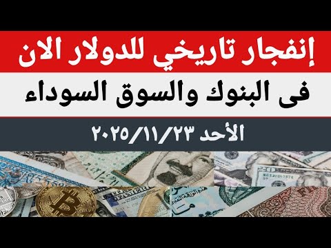 سعرالدولار اليوم أسعار الدولار اليوم أسعار الدولار والعملات اليوم الأحد 2025 11 23 في مصر