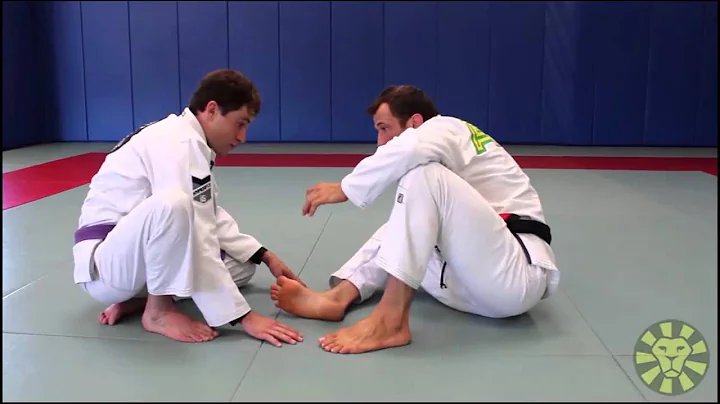 Turtle Guard Transitions and Recovery by Eduardo T...
