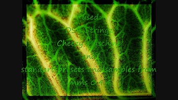 4th orchestra with the freeware programm lmms