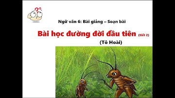 Bài học đường đời đầu tiên - Tô Hoài- HAY- |Ngữ văn  6